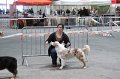 IMG_0274