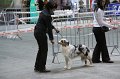 IMG_0276