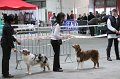 IMG_0277