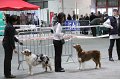 IMG_0279