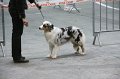 IMG_0293