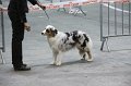 IMG_0294