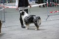IMG_0300