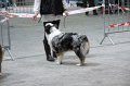 IMG_0301