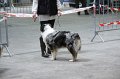 IMG_0302