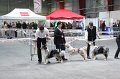 IMG_0304
