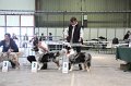 IMG_0311