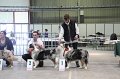 IMG_0316