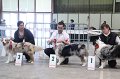 IMG_0337