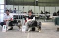 IMG_0339