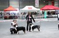 IMG_0341