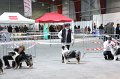 IMG_0345