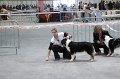 IMG_0348