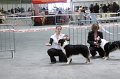 IMG_0350