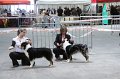 IMG_0351