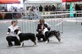 IMG_0352