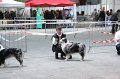 IMG_0354