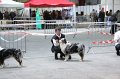 IMG_0355