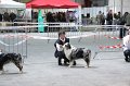 IMG_0356