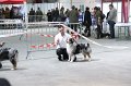 IMG_0357