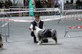 IMG_0361