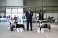 IMG_0364