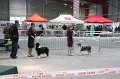 IMG_0386