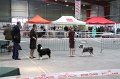 IMG_0387