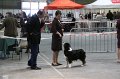 IMG_0388