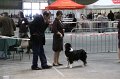 IMG_0389