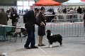 IMG_0390