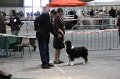 IMG_0391
