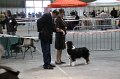 IMG_0392