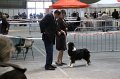 IMG_0393