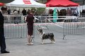 IMG_0394