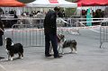 IMG_0395