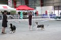 IMG_0399