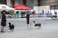 IMG_0400
