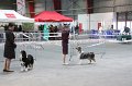 IMG_0401