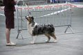 IMG_0403