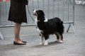 IMG_0406