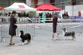 IMG_0408
