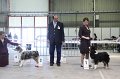 IMG_0414