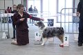 IMG_0419