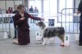 IMG_0420
