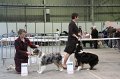 IMG_0426