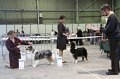 IMG_0427