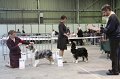 IMG_0428