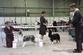 IMG_0429