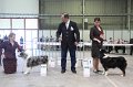 IMG_0436